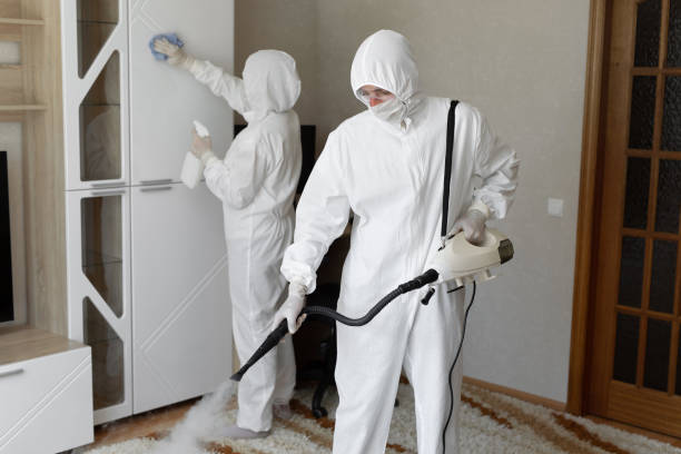 Best Mold Removal Process  in Hinckley, IL